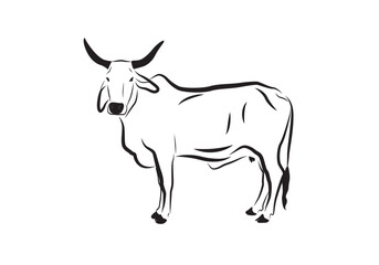 Cow vector isolated on white background. Farm Animal. Cattle, livestock icon.