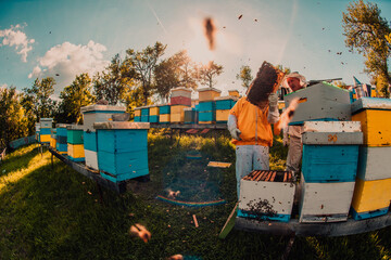 Beekeepers check the honey on the hive frame in the field. Beekeepers check honey quality and honey...