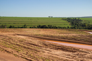 Plantação úmida e recém regada, brotando do solo. Paisagem vista de uma rodovia em Goiás.