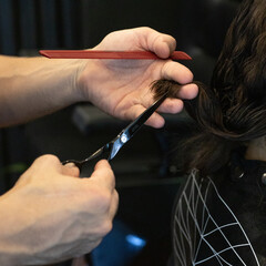 Hairdresser cutting lady's hair with scissors and comb