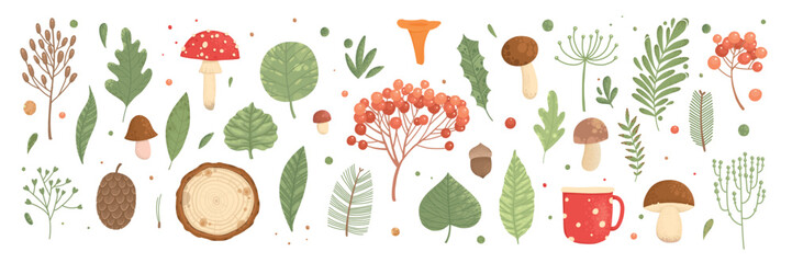 Fototapeta premium Collection of wild blooming meadow flowers isolated on white background and mushrooms. Bundle of wildflowers used in floristry. Set of decorative floral design elements. Flat colorful botanical vector