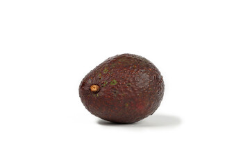 avocado isolated on white background 