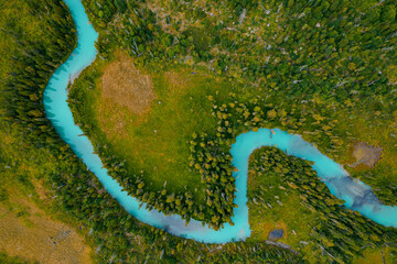 Aerial view of blue river meander in green forest vegetation of delta
