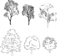 Big tree silhouette illustration vector sketch 