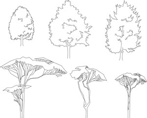 Obraz premium Big tree silhouette illustration vector sketch