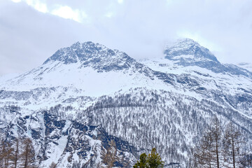 Obraz premium The famous Swiss mountain train of Bernina Express crossed italian and swiss Alps