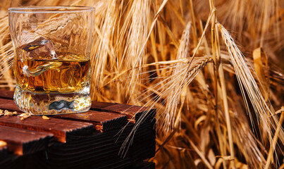 glass of whiskey in a field with ears