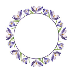 Watercolor wreath with spring flowers crocuses on white background. Floral frame