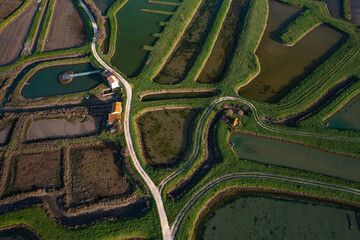 Obraz premium Magnifique mélange de couleurs et de textures abstraites créés par la végétation à la surface de l'eau au dessus des claires ostréicoles de l'estuaire de La Seudre en Charente Maritime. 