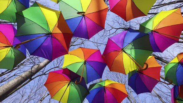 Colorful umbrellas hanging. Forest path with umbrellas in the sky. Summer decoration and sun protection.