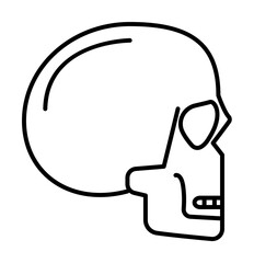 skull, head icon. Element of anti aging outline icon for mobile concept and web apps. Thin line skull, head icon can be used for web and mobile