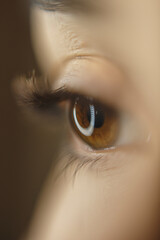 Female black eyelashes close-up on a macro shot with the hand of a master lashmaker, eye, lashes