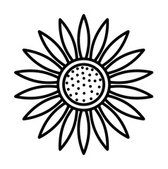 sunflower icon. Element of autumn icon for mobile concept and web apps. Thin line sunflower icon can be used for web and mobile