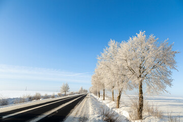 Landscape winter frosty sunny day, blue sky, trees covered with frost, Poland Europe