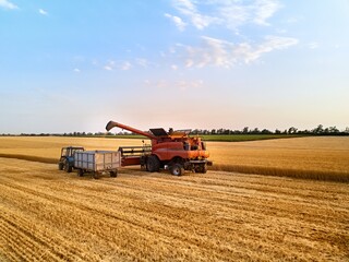 Obraz premium Aerial of overloading grain from combine harvester to grain box trailer in field on tractor. Harvester unloder pouring harvested wheat into a box body. Farmers at work. Agriculture, harvesting season.