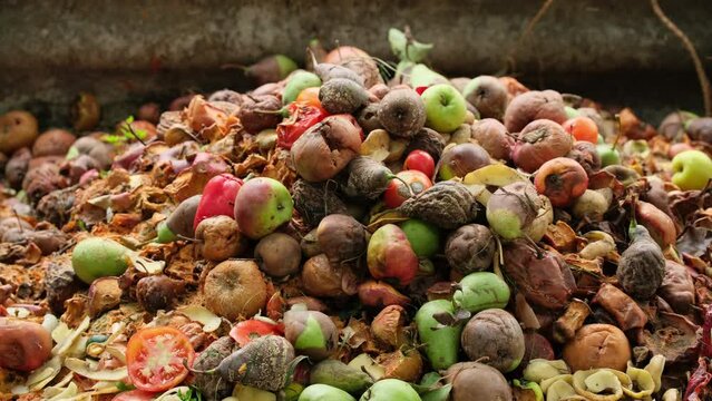 Food Waste. Compostable food scraps. Domestic organic waste for compost from fruits and vegetables. Recyclable materials. Separate waste collection. Compost bin with organic waste