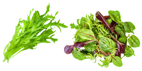 Salad leaves mix  isolated on white background. Salad with rucola, spinach,  radicchio and lamb's...