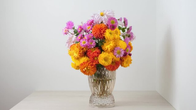 Stop motion animation - Step by step installation of chrysanthemums flowers in vase. Bouquet of colorful autumn chrysanthemums flowers in vase for decoration home. Florist, floristry