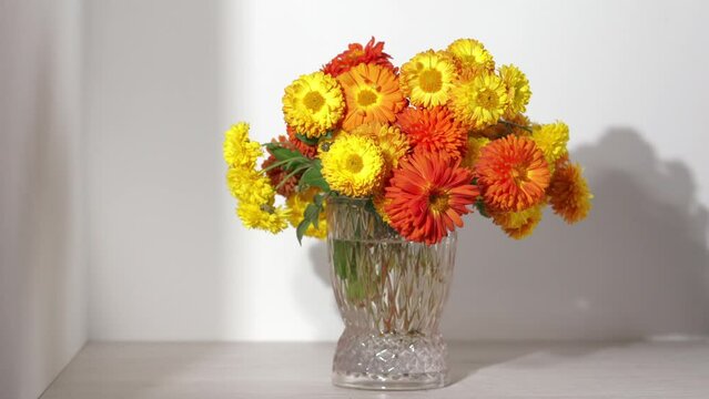 Flowers bunch on white background. Step by step installation of chrysanthemums flowers in vase. Creation of bouquets Stop motion animation. Close-up of fresh cut colorful flowers. Florist, floristry