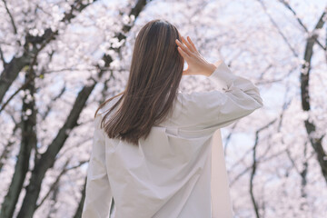 桜と艶のあるロングヘアの女性
