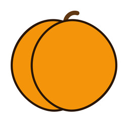 apricot colored icon. Element of fruits and vegetables icon for mobile concept and web apps. Colored apricot icon can be used for web and mobile. Premium icon