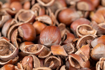 debris left after peeling the hazelnuts from the shell