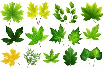 Fototapeta na wymiar set of green leaves. AI Generative