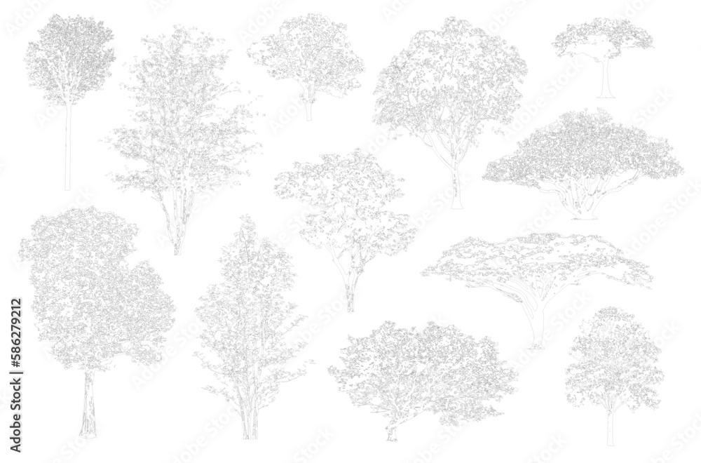 Aufkleber Minimal style cad tree line, Side view, set of graphics trees elements outline symbol for architecture and landscape design drawing. Vector illustration in stroke fill in white. Tropical