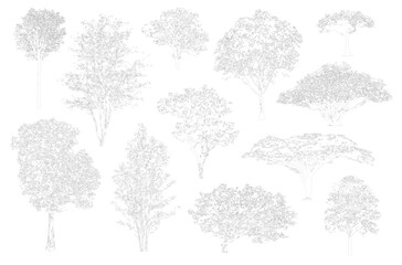 Minimal style cad tree line, Side view, set of graphics trees elements outline symbol for architecture and landscape design drawing. Vector illustration in stroke fill in white. Tropical