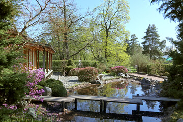 Fototapeta na wymiar Japanese garden in the Botanical garden of St. Petersburg (Russia) on a sunny spring day. Bright beautiful landscape with traditional Japanese-style house and plants.