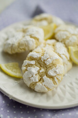Delicious citrusy lemony snack, crunchy cracked lemon crinkle cookies coated with powdered sugar on white plate close up selective focus 