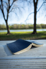 AA Book