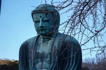 Great Buddha of Kotoku-in Temple in Kamakura Kanagawa Japan