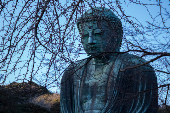 Great Buddha of Kotoku-in Temple in Kamakura Kanagawa Japan
