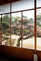 春、桜、日本家屋、古民家、新春、新年度