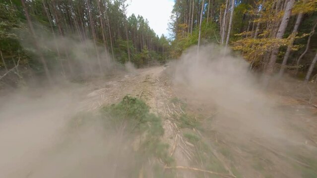 Aerial: Drone Forward Shot Of Skidder Throwing Tall Tree On Ground While Logging In Forest - Tuscaloosa, Alabama