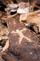 Fototapeta premium Upclose Shot of Ancient Native American Petroglyph in Sloan Canyon National Conservation Area, Nevada