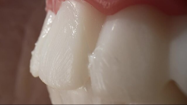 Brushing teeth inside the mouth with white toothpaste and brush. Cleaning mouth morning healthcare routine. Macro 4k 50 fps. Brush teeth close up 