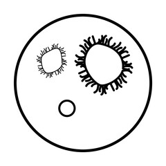 bacteria in vitro icon. Element of microorganisms icon for mobile concept and web apps. Thin line bacteria in vitro icon can be used for web and mobile