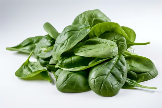 Spinach On A White Background Generative AI