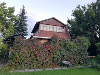 Country house in early autumn