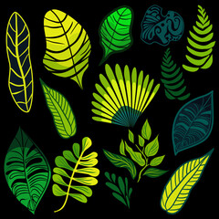 Fototapeta na wymiar Set of tropical rainforest plants vector illustration 