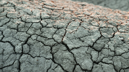Cracks On Dry Ground