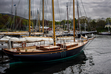 boats in the harbor
