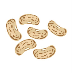 Мобильное усTepary bean also known Phaseolus acutifolius species of plant. Vector illustration isolated on white background. For template label, packing, web, menu, logo, textile, iconтройство