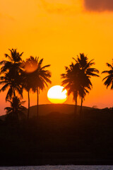 Obraz premium sunset on the beach