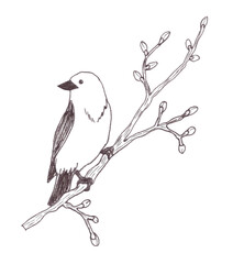 Black and white spring illustration of a bird sitting on a branch with buds