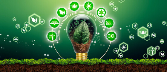 Bulb as energy efficiency concept. Renewable energy by 2050 Carbon neutral energy. Net zero carbon.