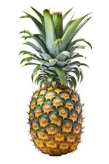 Fototapeta premium a vacation-themed photographic illustration featuring a single isolated fresh tropical pineapple fruit set on a transparent background in PNG. Generative AI