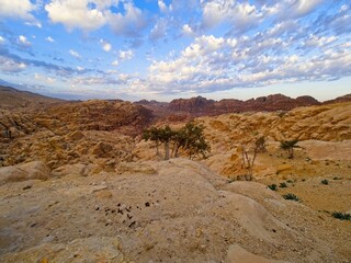 Sandstone cliffs in the Jordanian dessert